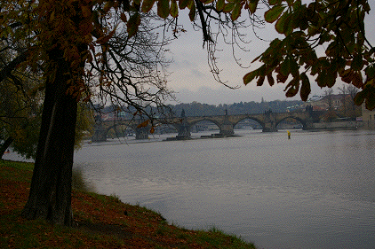 f0077150_2265166.gif