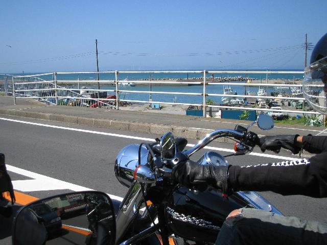 f0116350_133026.jpg