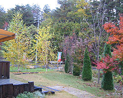 d0050155_22175045.jpg
