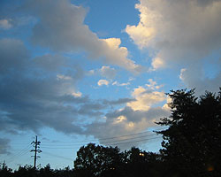 d0050155_2221960.jpg