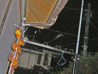 b0045357_9132588.jpg