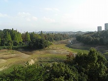 d0113561_1514284.jpg