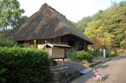 c0017664_21134598.jpg