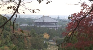 d0083265_20321954.jpg