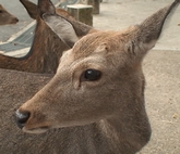 d0083265_22185341.jpg
