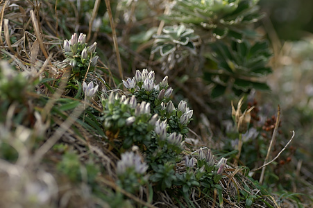 e0054067_11546.jpg