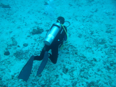 a0002177_17114090.jpg