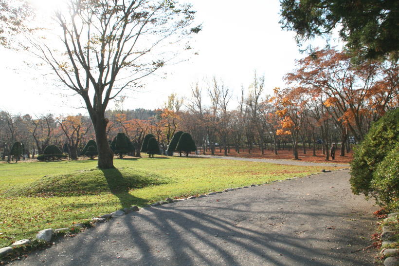 c0112479_20345236.jpg