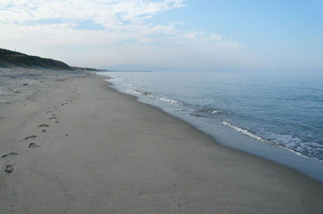f0097683_814140.jpg