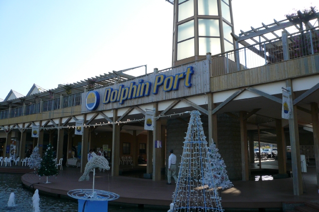 f0097683_815672.jpg