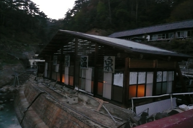 f0097683_817082.jpg