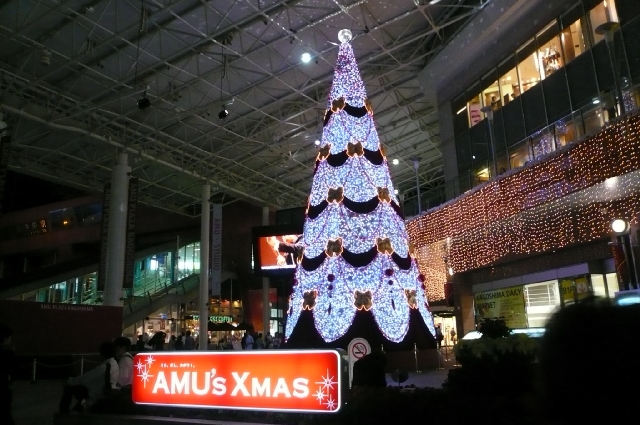 f0097683_835795.jpg