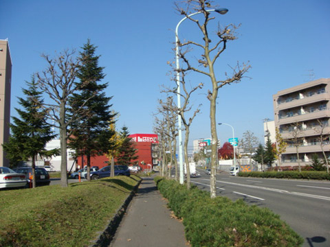 散歩道の花 34_f0146493_1036192.jpg