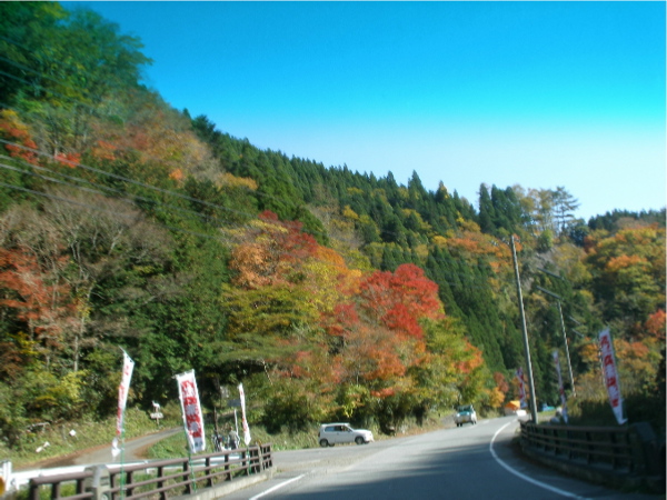 c0036203_17514846.jpg