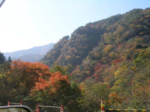 c0036203_1752472.jpg