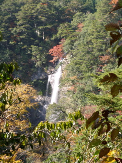 c0036203_1757456.jpg
