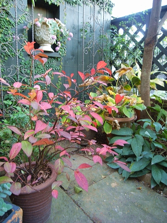 f0065604_1939074.jpg
