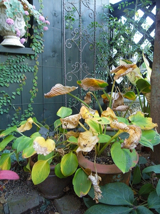 f0065604_19391340.jpg
