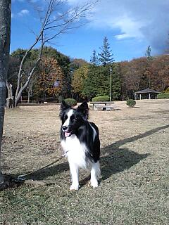 f0102308_15454490.jpg