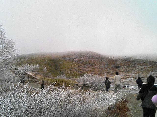 e0027813_23145711.jpg
