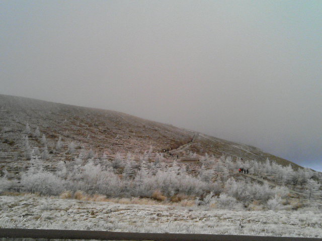 e0027813_23164024.jpg