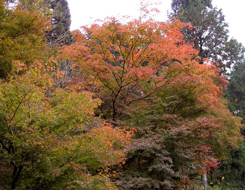 京見峠_e0048413_2254078.jpg