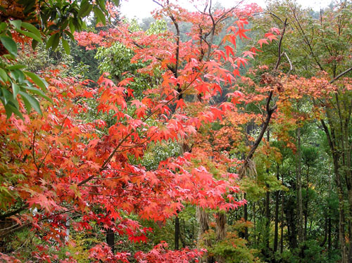 京見峠_e0048413_2295695.jpg