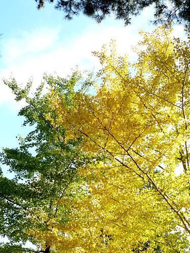 f0004019_201511.jpg