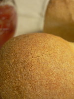 e0009324_8525096.jpg