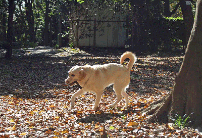 d0016727_1691118.gif