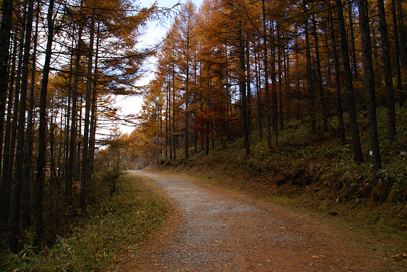 思索の散策路_d0102327_1333395.jpg