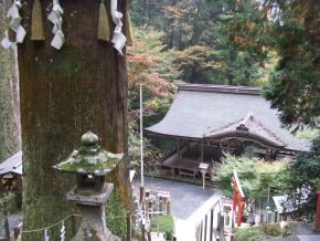 鞍馬寺と一乗寺_f0149731_1326345.jpg