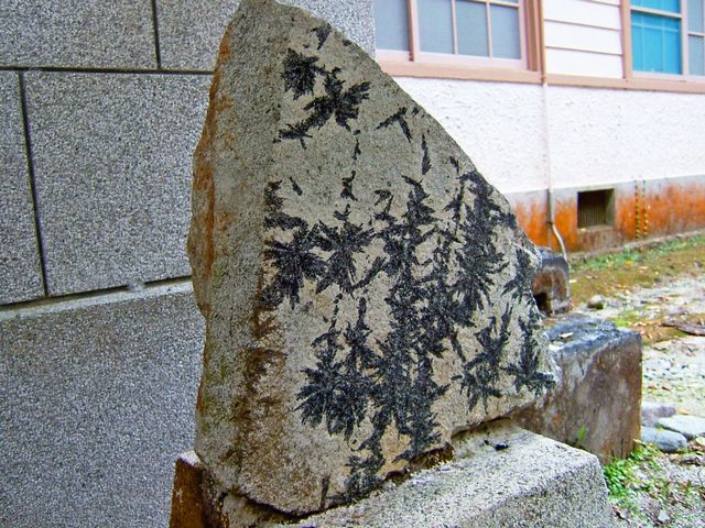c0141933_22352783.jpg