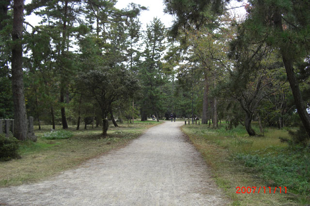 f0012637_1062814.jpg