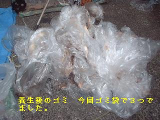 塗装工事最終日_f0031037_1615768.jpg
