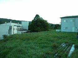 b0075140_05652.jpg