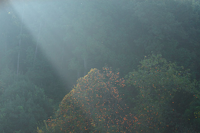 c0067040_23101665.jpg
