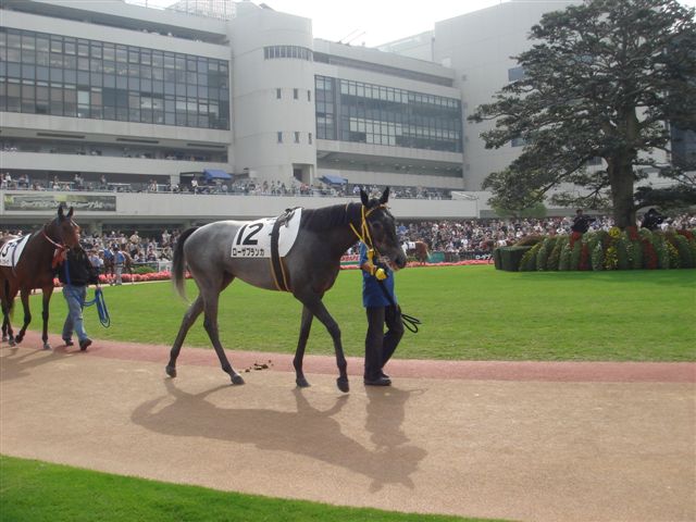 e0067640_9561844.jpg