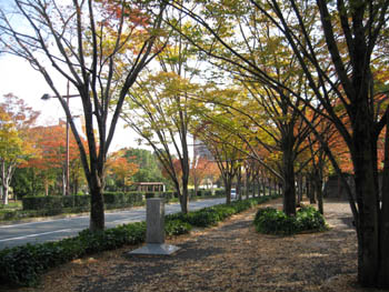 e0110940_21553889.jpg