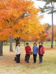 富士見ヨドバシカメラ内の紅葉_f0019247_2143899.jpg