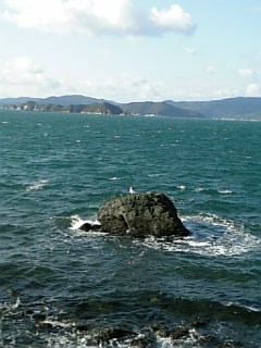 海_f0099147_192780.jpg