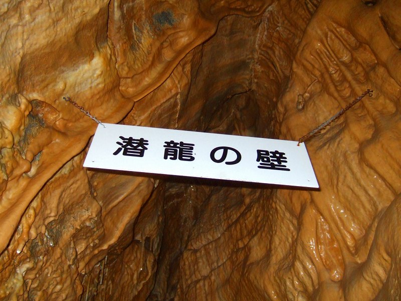 a0036649_20492030.jpg