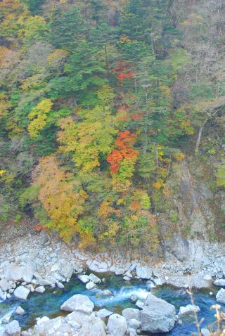 塩原渓谷の紅葉_f0089349_17535855.jpg