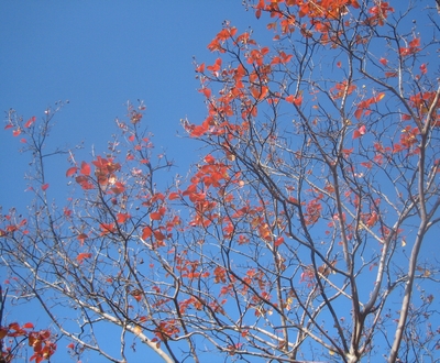 f0148649_21325176.jpg