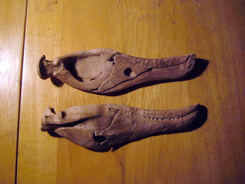 e0064457_18371235.jpg
