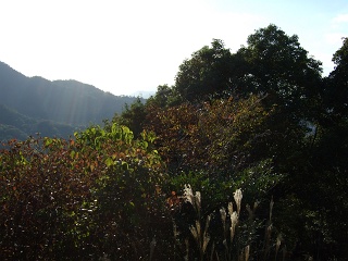 b0095061_1365440.jpg