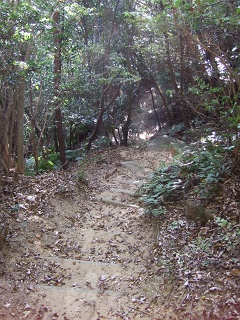 矢野の神が住む山「愛宕社」秘境探険記①_b0095061_9134057.jpg