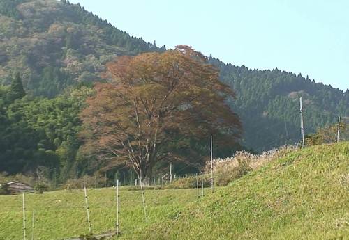 d0083265_02166.jpg