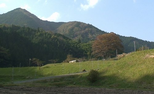 d0083265_044666.jpg