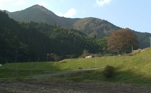 d0083265_062720.jpg